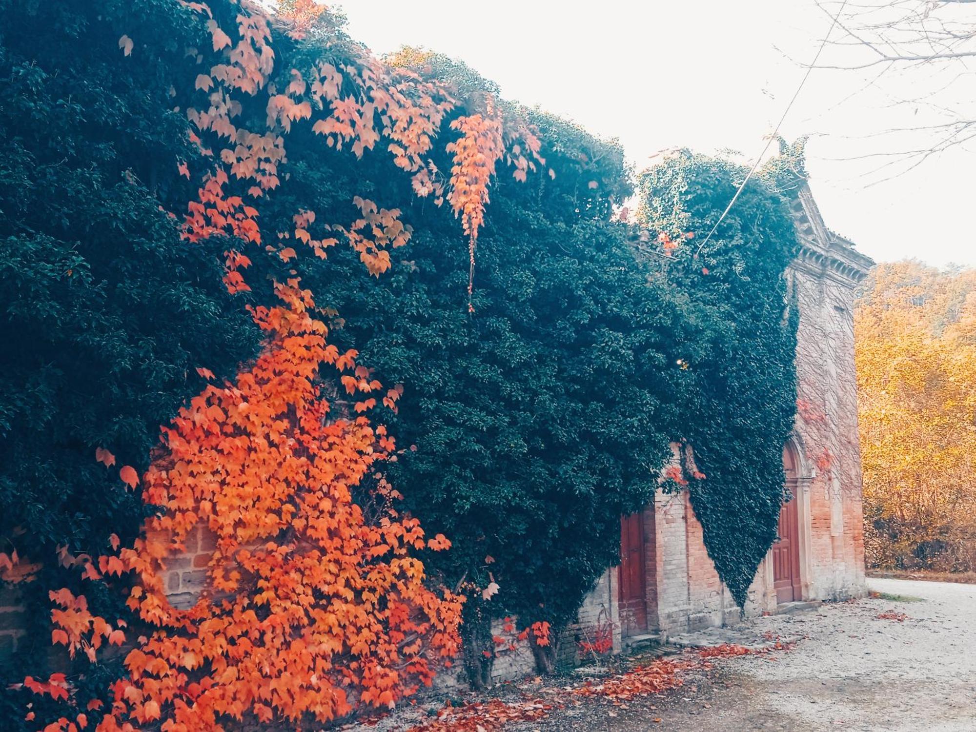 Castello Di Baccaresca